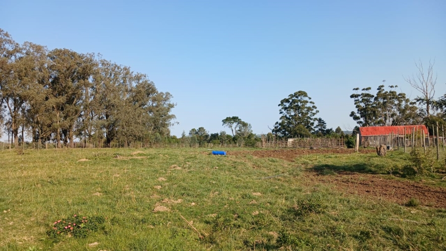 Commercial Property for Sale in Bathurst Eastern Cape